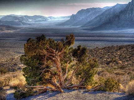 A Man Hunt in Death Valley