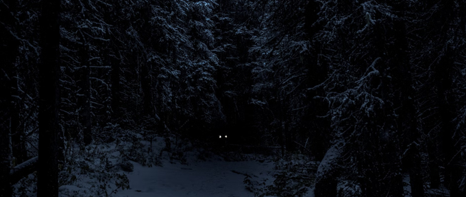 pair of animal eyes glowing in dark snowy forest
