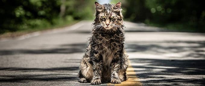 Watch the Creepy New Trailer for 2019's Pet Sematary 
