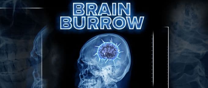 brain burrow