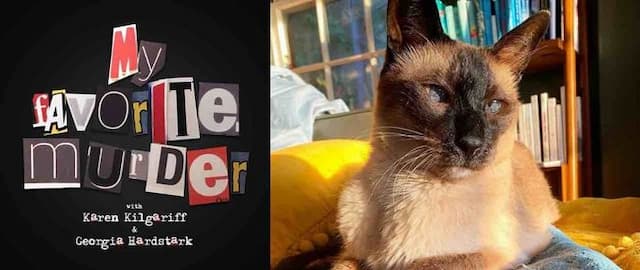 In Memoriam: Elvis the Cat From My Favorite Murder Dies at 16
