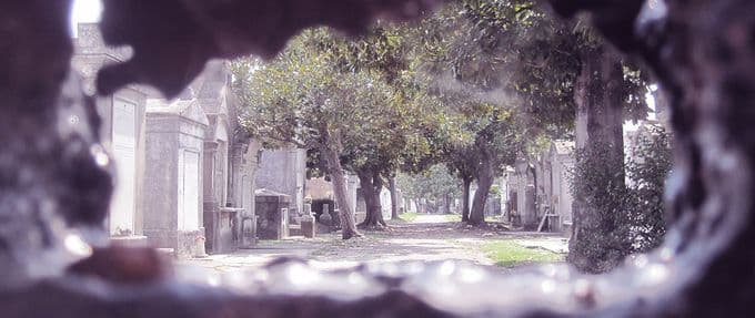 new orleans cemetery tours