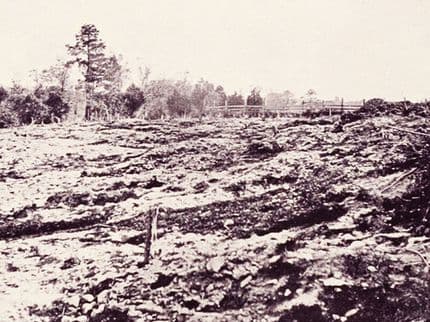 Traces of the Dead: The Haunted Battleground of Cold Harbor