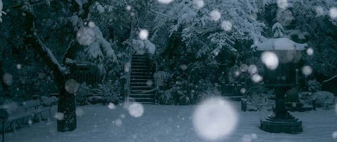 voices in the snow excerpt; snow falls on stairs in the dark