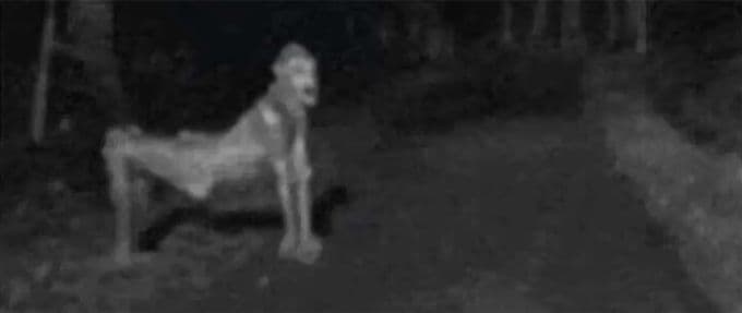 20 Terrifying Facts About the Skinwalker Legend