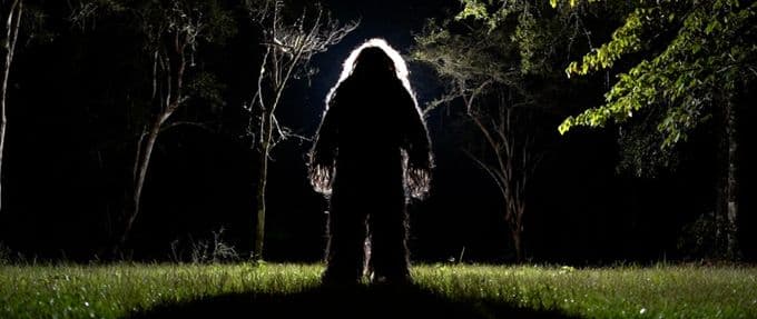the skunk ape experiments
