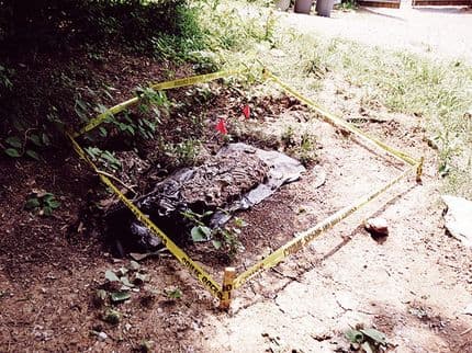 Welcome to Tennessee’s Body Farm, Where New Forensic Research Could Revolutionize How We Estimate Time of Death
